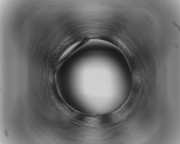 X0000095910170200801181403