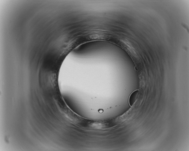 X0000095910171200801181403