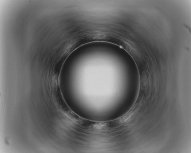 X0000095910172200801181403