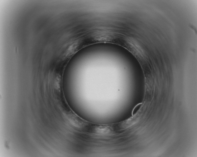 X0000095910175200801181403