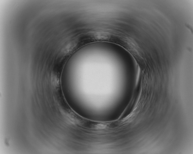 X0000095910176200801181403