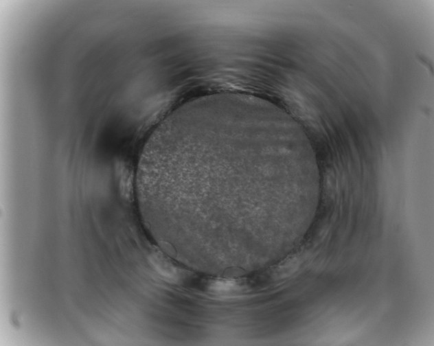 X0000095910177200801181403