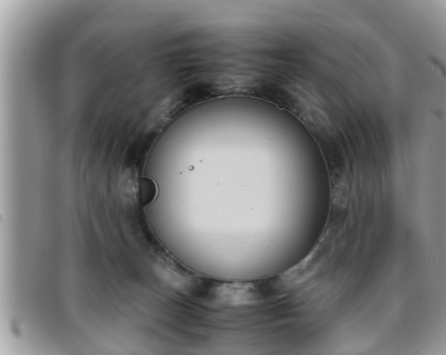 X0000095910179200801181404