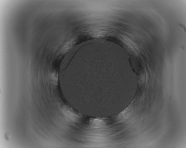 X0000095910180200801181404