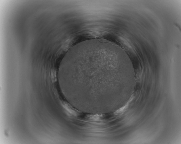 X0000095910182200801181404