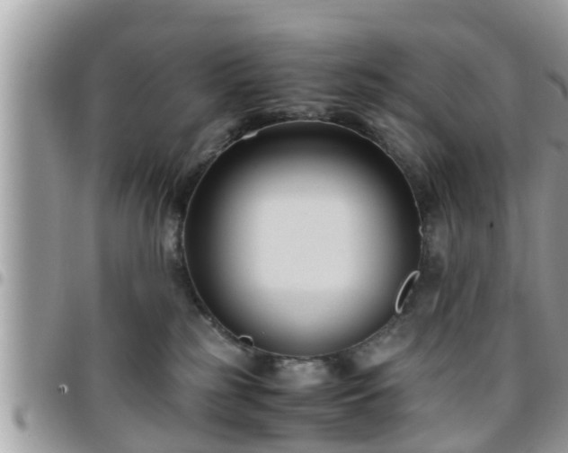 X0000095910185200801181404