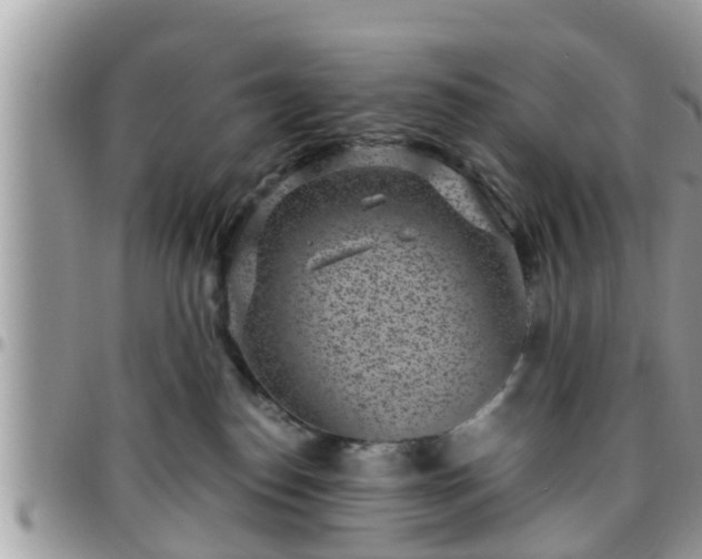 X0000095910186200801181404