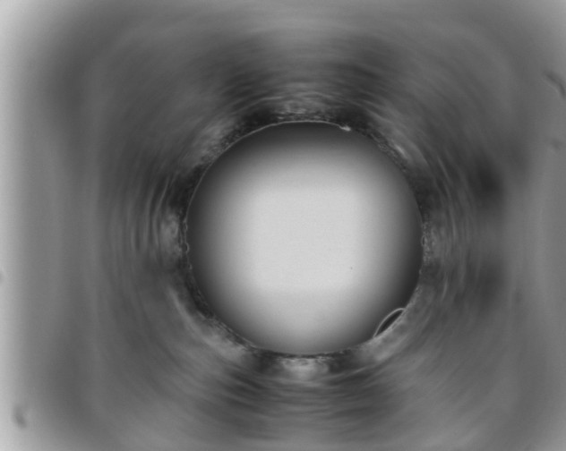 X0000095910187200801181404