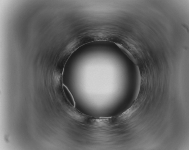 X0000095910188200801181404