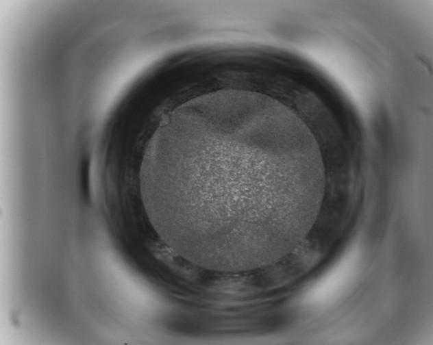 X0000095910189200801181404