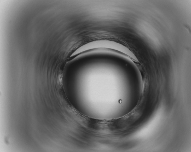 X0000095910190200801181404