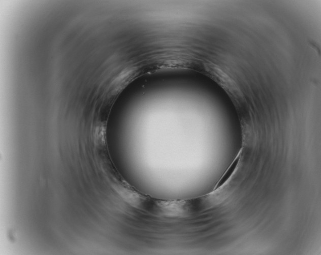 X0000095910191200801181404