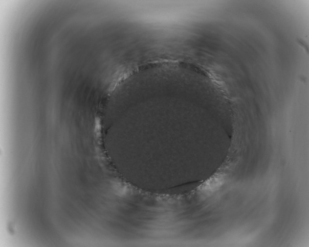 X0000095910192200801181404