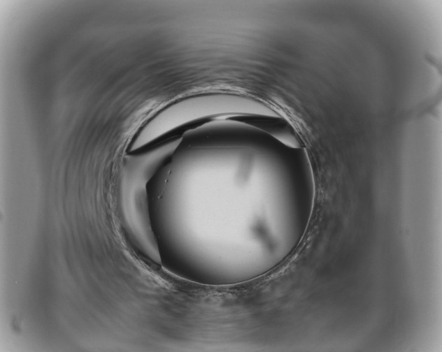 X0000095910193200801181403