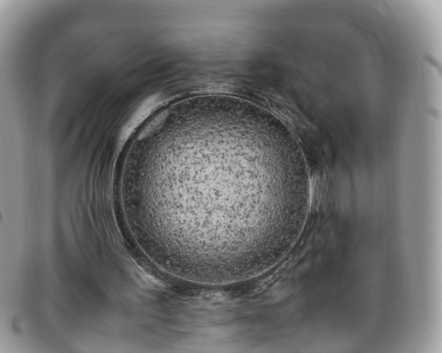 X0000095910195200801181403