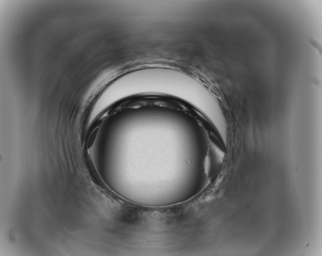 X0000095910197200801181403