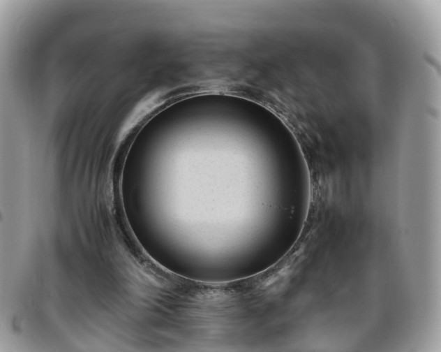 X0000095910198200801181403