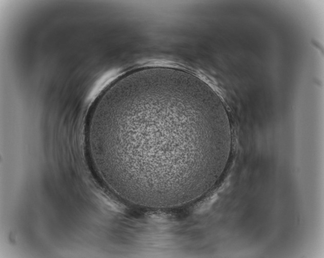 X0000095910199200801181403