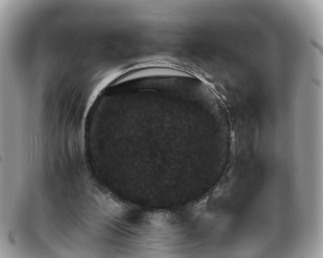 X0000095910200200801181403