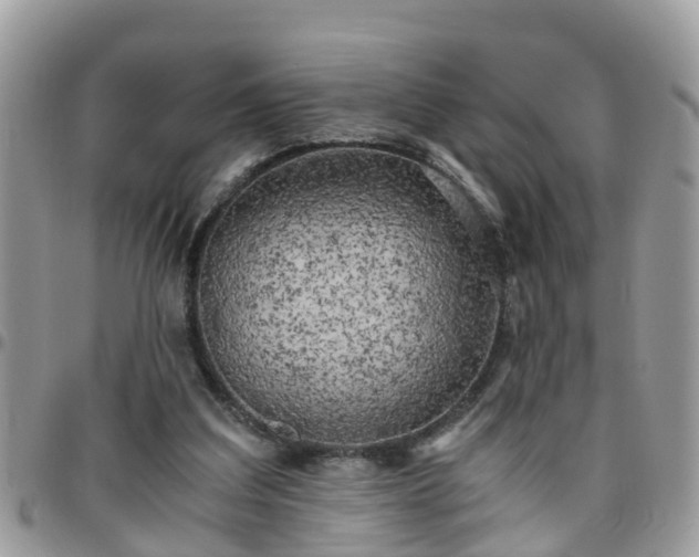 X0000095910203200801181403