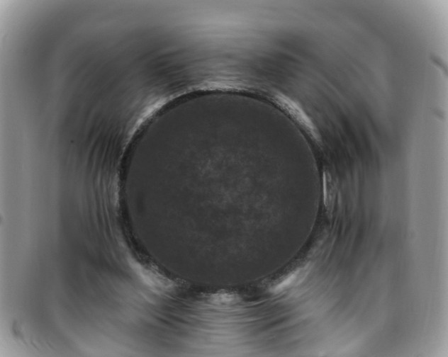 X0000095910204200801181403