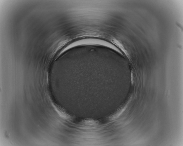 X0000095910205200801181403