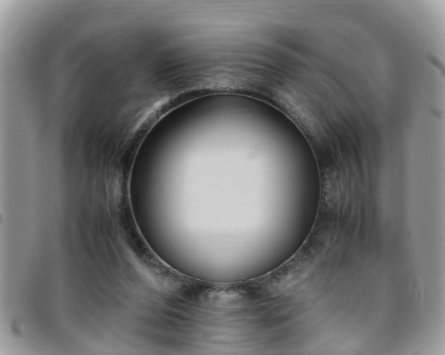 X0000095910208200801181403