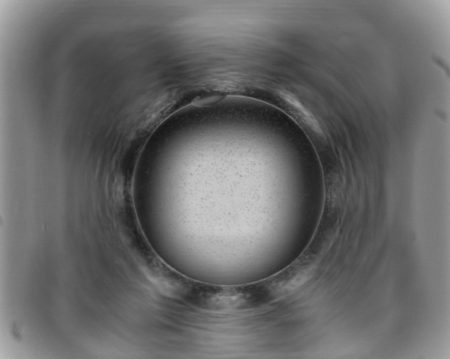 X0000095910213200801181403