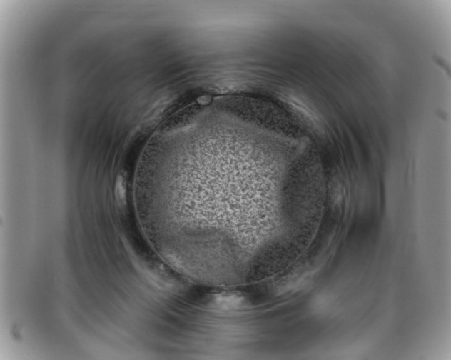 X0000095910214200801181403