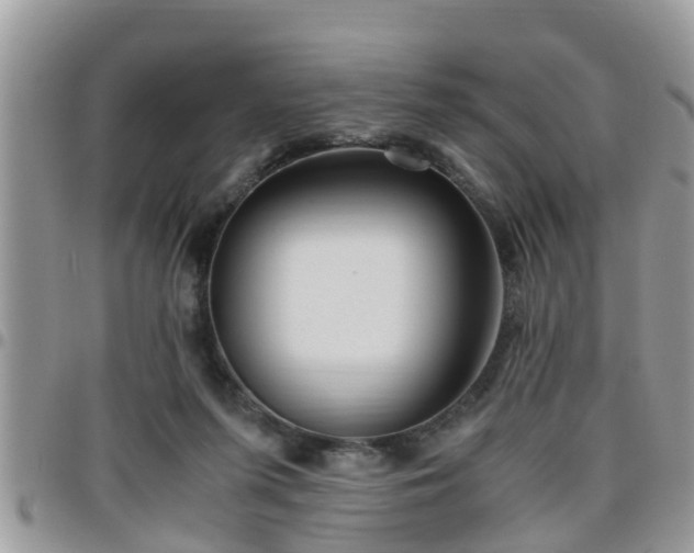 X0000095910215200801181403