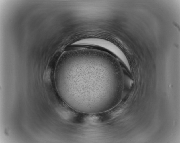 X0000095910217200801181403