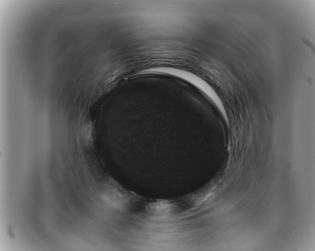 X0000095910219200801181403