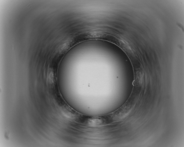 X0000095910220200801181403