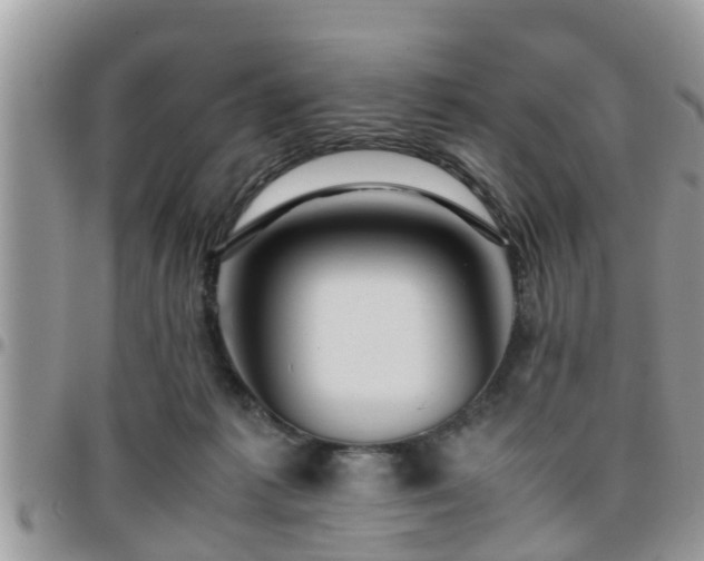 X0000095910221200801181403