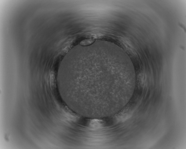 X0000095910222200801181403