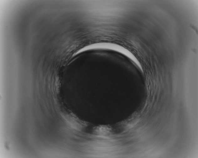 X0000095910223200801181403