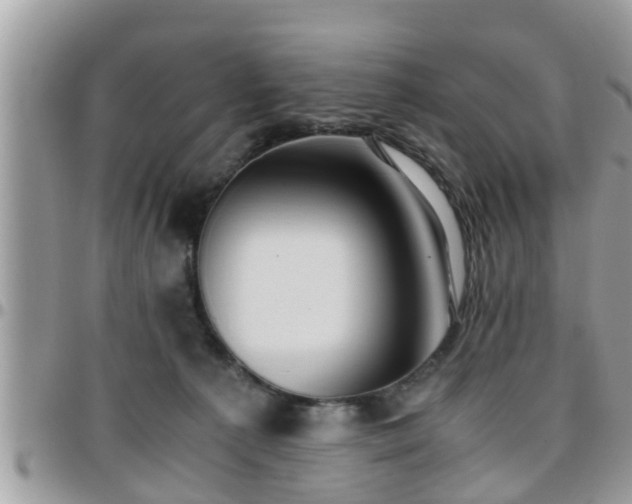 X0000095910225200801181402