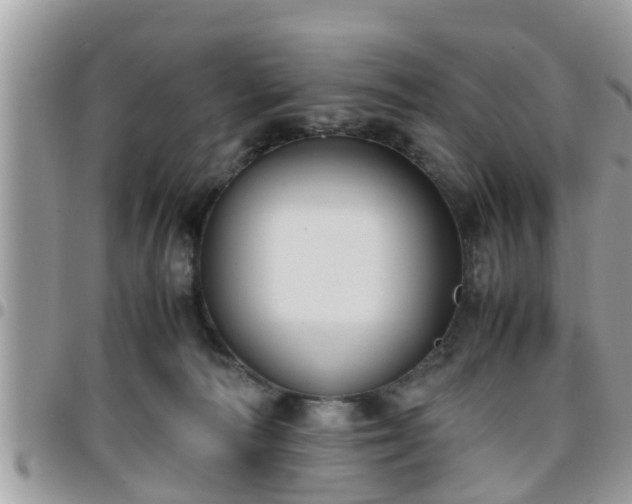 X0000095910226200801181402