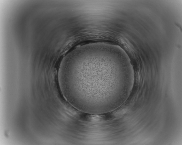 X0000095910229200801181402