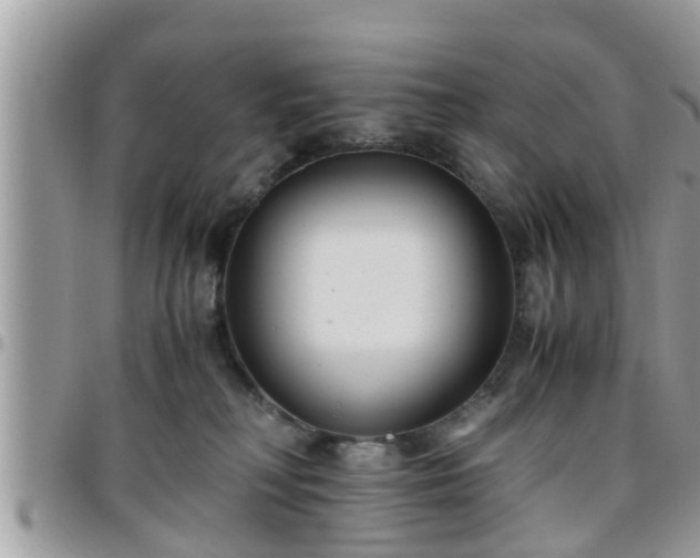 X0000095910230200801181402