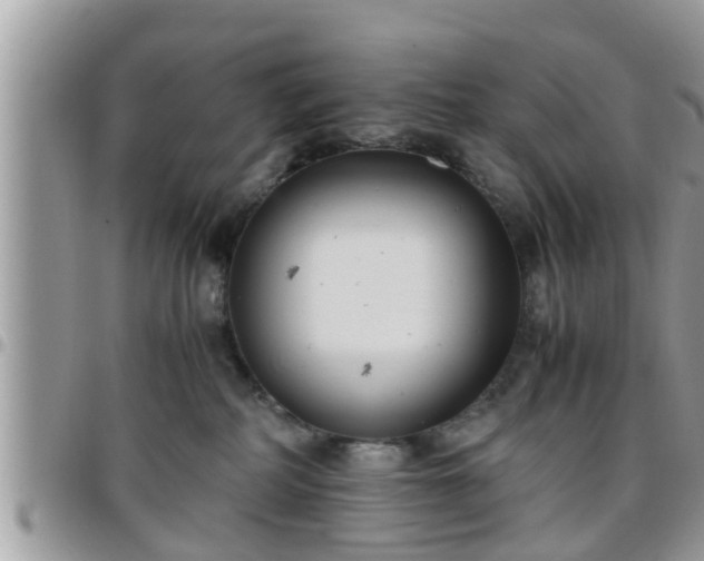 X0000095910234200801181402