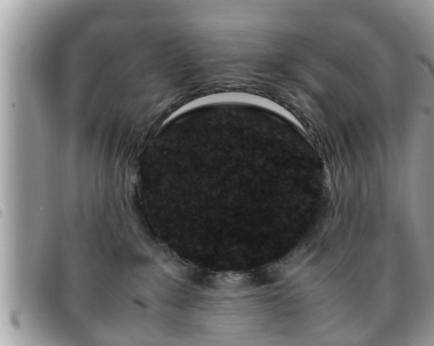 X0000095910235200801181402