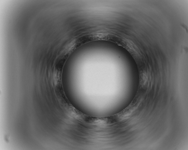 X0000095910236200801181402