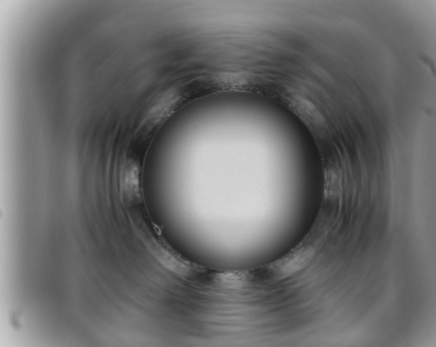 X0000095910238200801181402