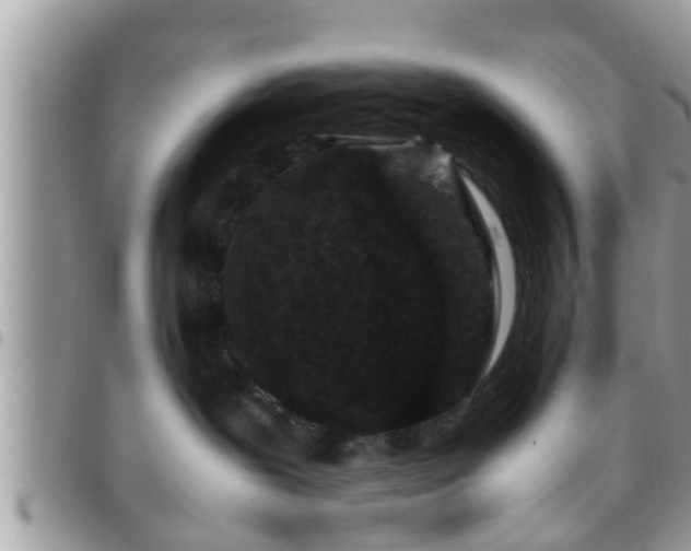 X0000095910239200801181402