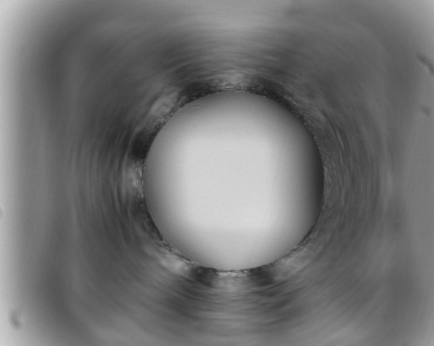 X0000095910240200801181402