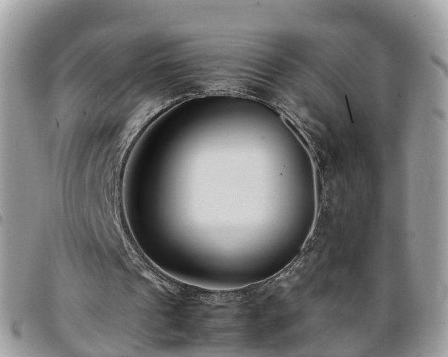 X0000095910241200801181402