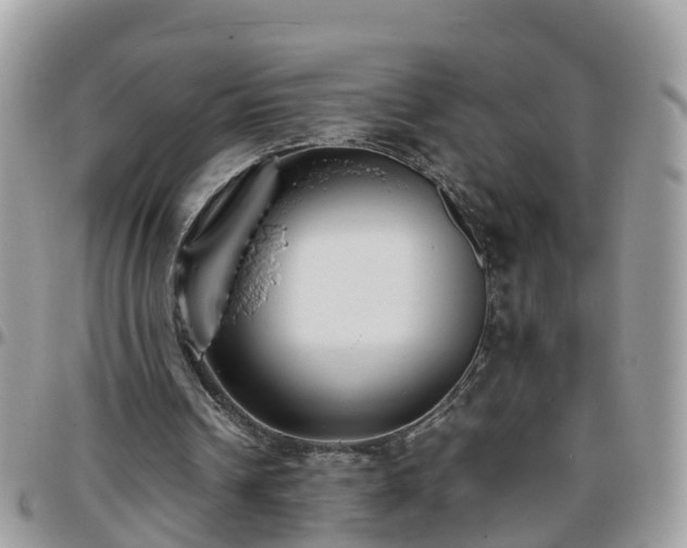 X0000095910242200801181402