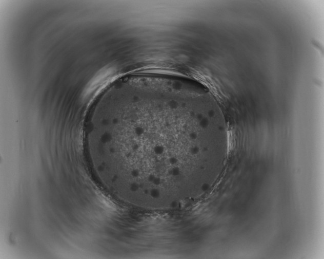 X0000095910243200801181402