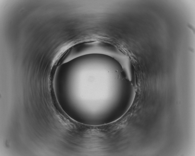 X0000095910244200801181402